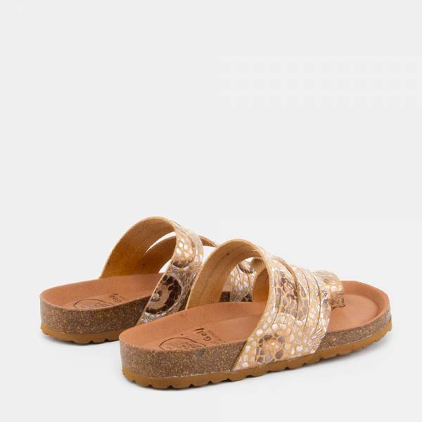 POMPEYA-001 - BOLUC PLATINO  2