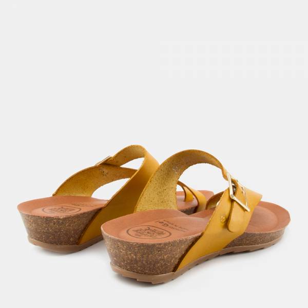 TERRA-020 - TERRA VAQUETA... 2