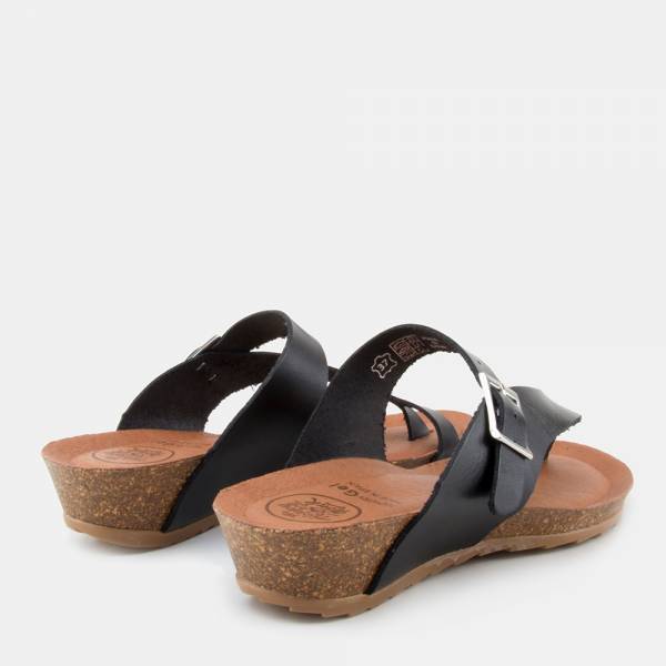 TERRA-020 - TERRA VAQUETA... 2