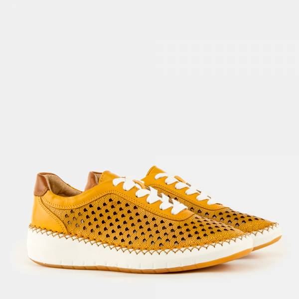 TRAVEL-001 - ALFA MOSTAZA 2