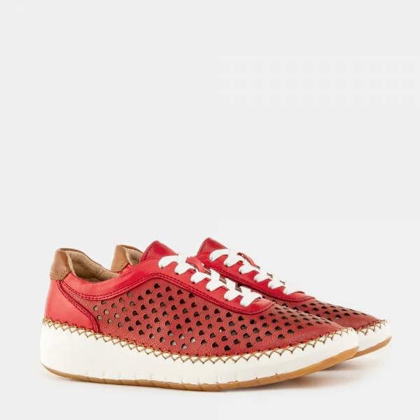 TRAVEL-001 - ALFA ROJO 2