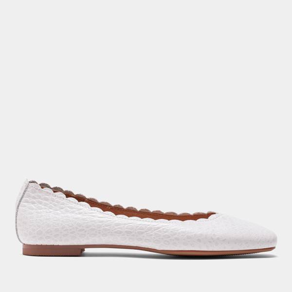 SOFIA-003 - COCO BLANCO