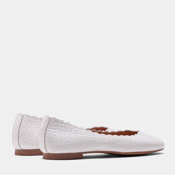 SOFIA-003 - COCO BLANCO 2