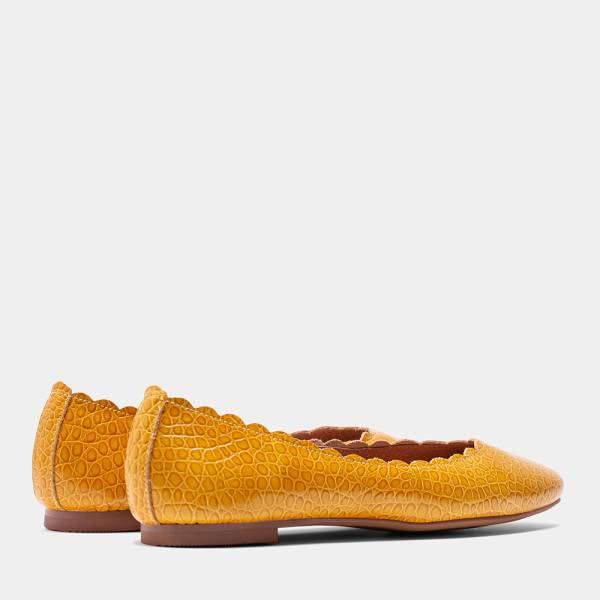 SOFIA-003 - COCO MOSTAZA 2