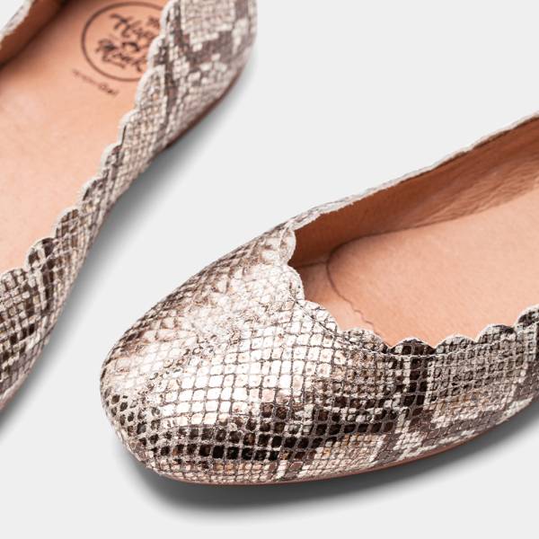 SOFIA-003 - SERPIENTE PLATA 2