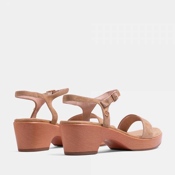 PANSY-002 - ANTE APRICOT 2