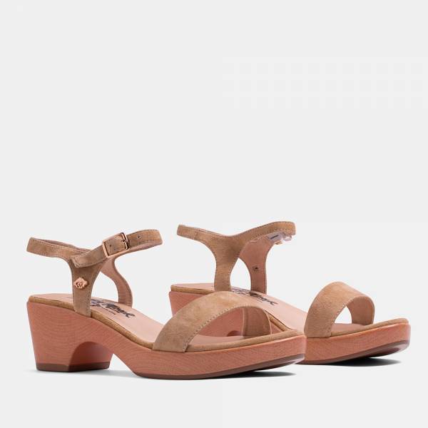 PANSY-002 - ANTE APRICOT 2