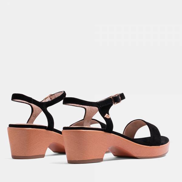 PANSY-002 - ANTE NEGRO 2