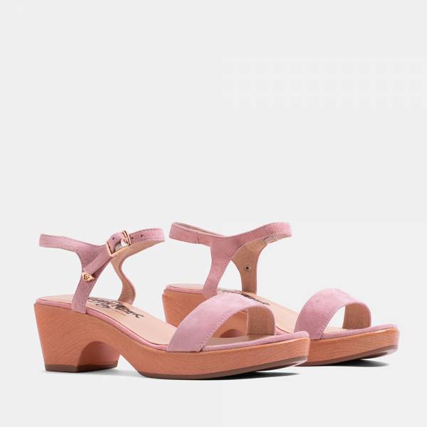 PANSY-002 - ANTE ROSA 2