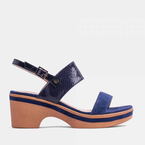 VITA-005 - ANTE-CHAROL MARINO